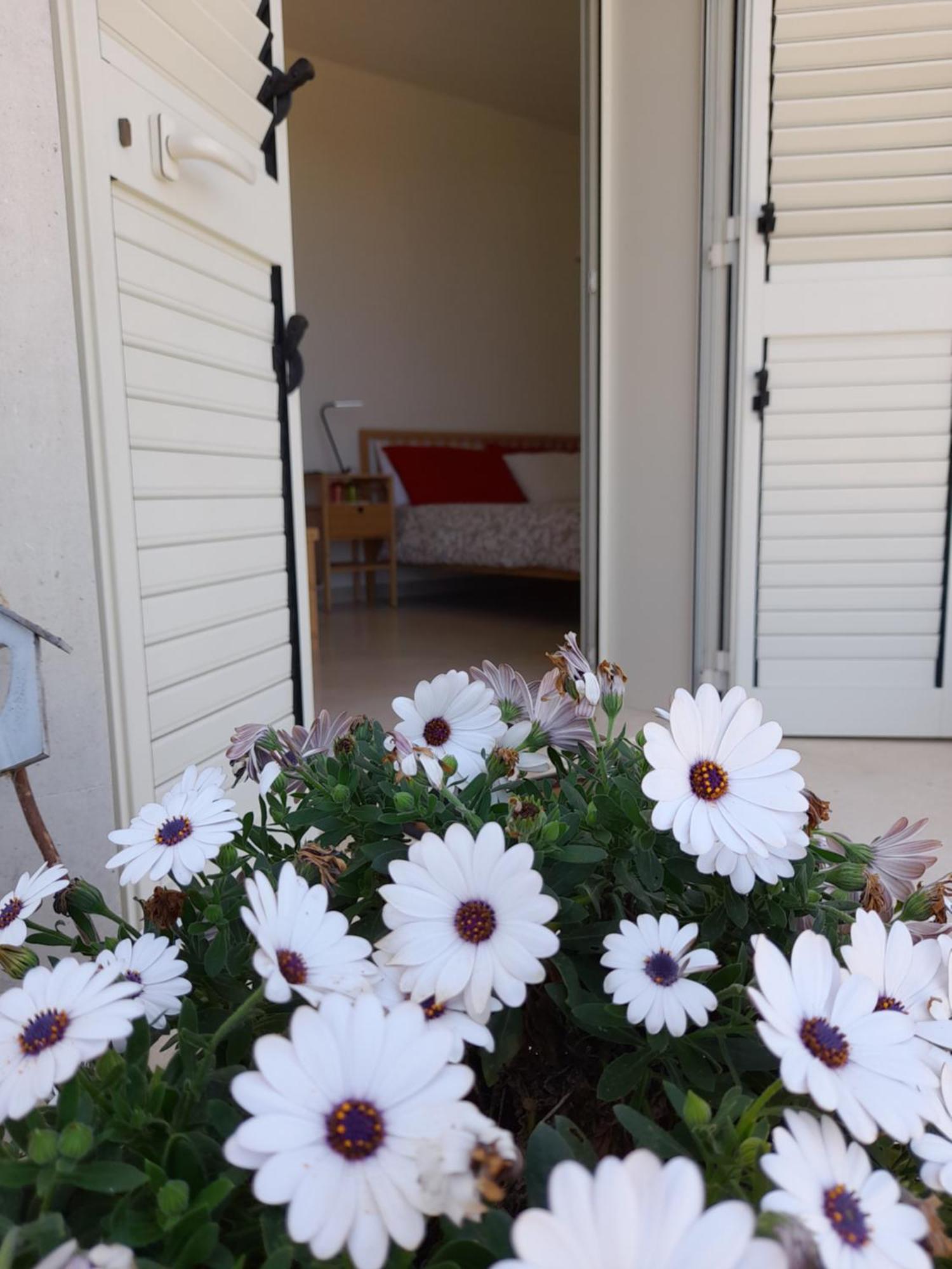 Tenuta Valle Dell Idro Otranto Con Piscina 卡萨马塞拉 外观 照片
